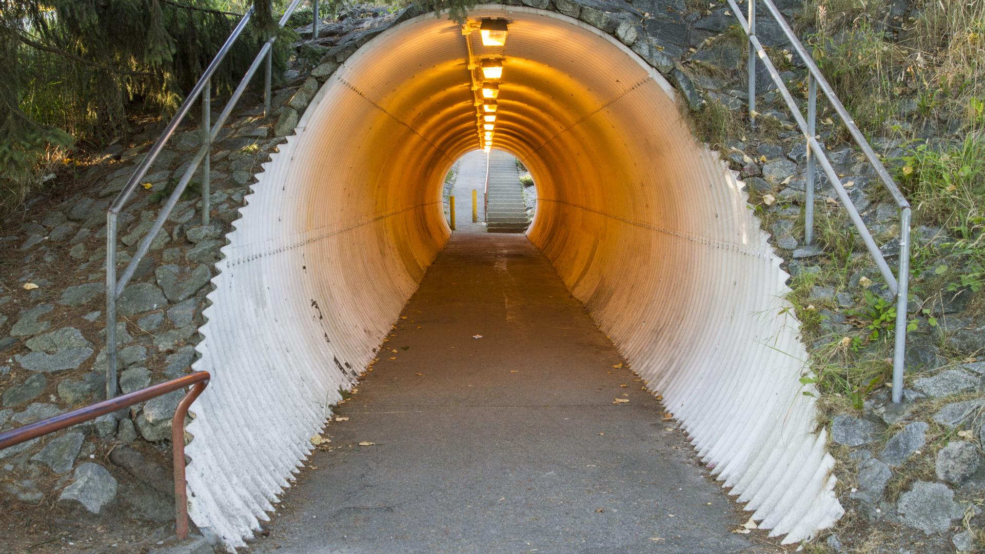 An old, large drain pipe that has been converted to a covered pathway. Lights line the top all the way through,
